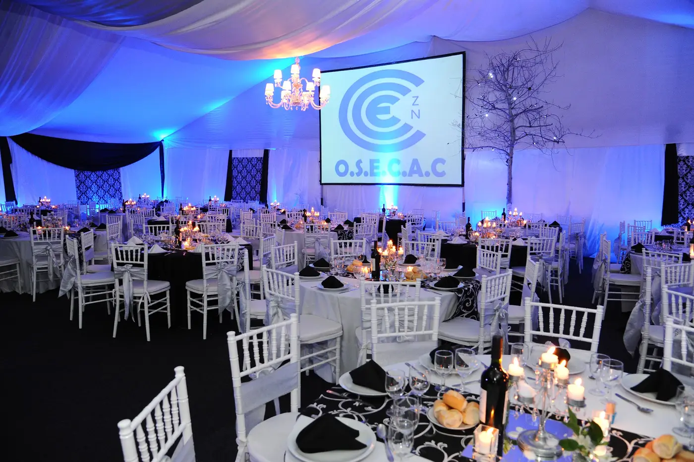 Carpas para eventos - ARQUIMOV- — foto 3