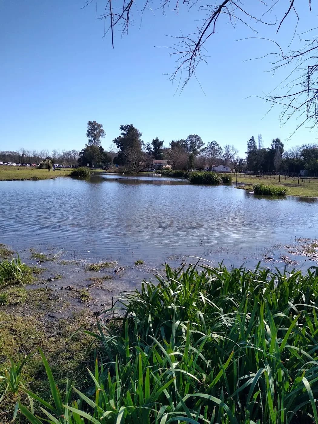 De Campo — foto 3